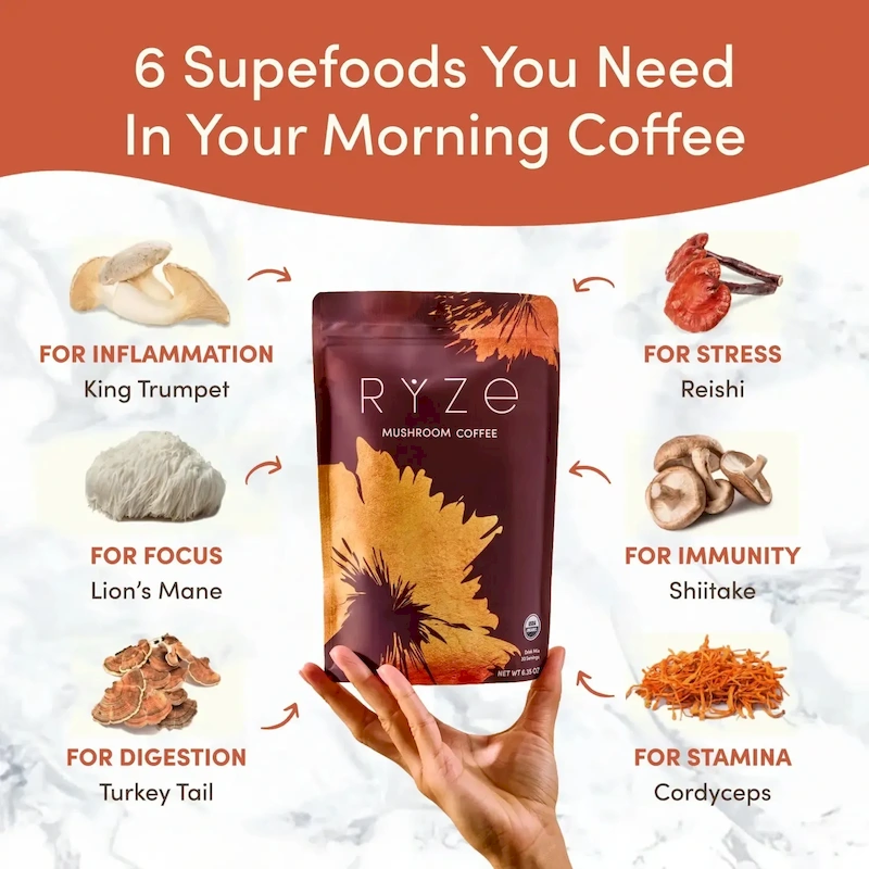 Mushroom Coffee (1 pack - 30 Servings) - Image 3