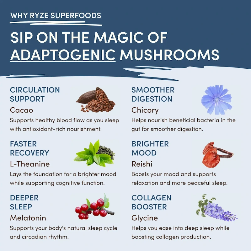 Mushroom Hot Cocoa (1 Pack - 20 Servings) - Image 4