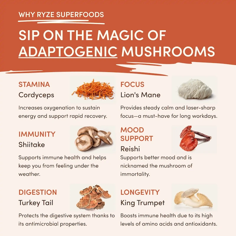 Superfood Creamer (30 Servings) - Image 4